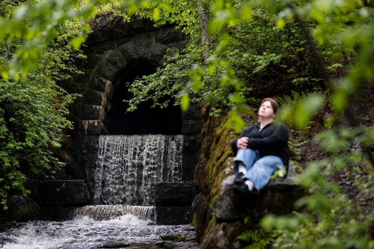 Vehreä metsä, jossa tunnelin päästä valuva vesiputous. Sivussa sumennettuna istuu hahmo, joka katsoo taivaalle.